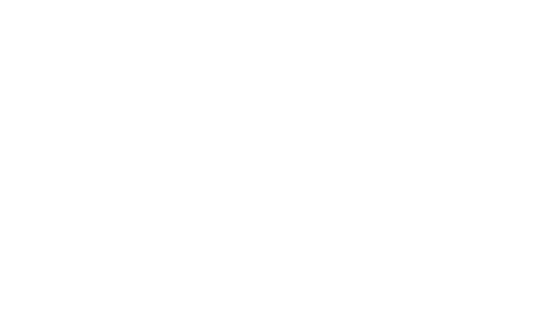 Dolfino